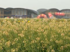 -中国天府农业博览园