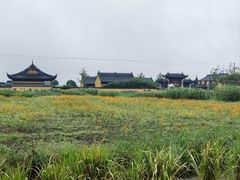 -莲花岛景区