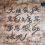 🌸春暖花开·游园怀旧，铭记历史