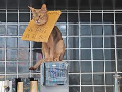 -NRG健身私教CLUB(打浦桥店)