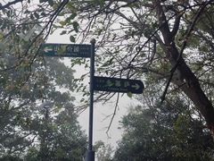 -紫金山山顶公园