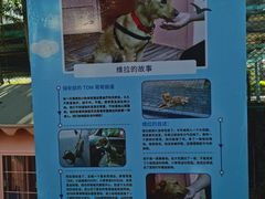 -采粤轩中餐厅(惠州金海湾喜来登度假酒店)