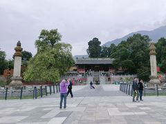 -报恩寺(平武县)