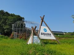-金石滩蓝莓谷庄园