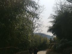 -竹子庵公园