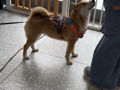 -宠物家(角门东店)