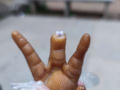 -姐妹面馆(水澄路店)