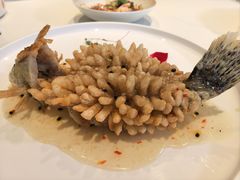 精灵松鼠桂鱼-海味观(老西门店)