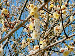 -蜀冈西峰生态公园