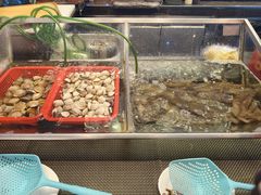 -深圳温德姆至尊酒店·大堂吧·户外花园