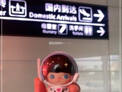 -温州龙湾国际机场