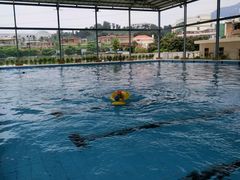 -西博游泳馆