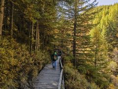 -苏木山森林公园