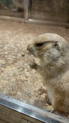 点击看大图 -宝燕乐园(闵行旗舰店)