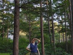-黑龙江省森林植物园