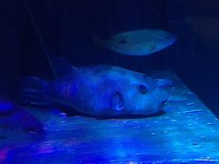 -沈阳海洋探索中心