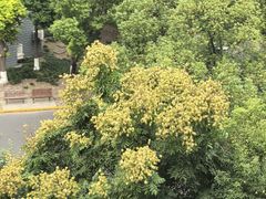 -诺亚财富中心