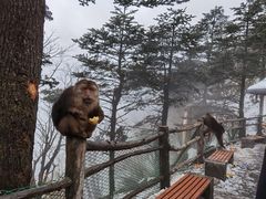 -峨眉山风景名胜区