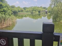 -洋湖国家湿地公园