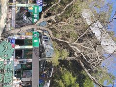 -芦仙山景区-飞越丛林探险乐园