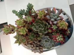 -颜蕾医美·黄金微针·水光·玻尿酸·超声炮·抗衰中心