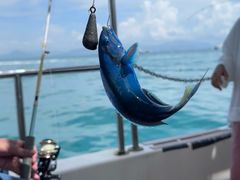 -小猫钓鱼海钓俱乐部(椰梦长廊店)