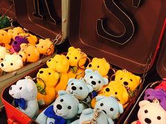 -济州岛泰迪熊博物馆