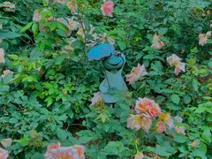 -人民公园(罗湖区)