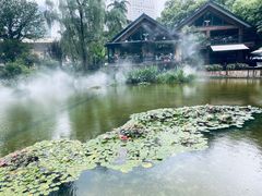 -静安公园(静安寺街道)