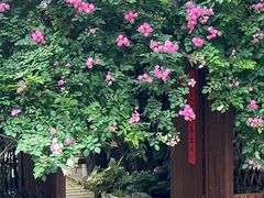-谷咖啡·鲜花绿植花园餐厅