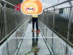 -呀诺达热带雨林