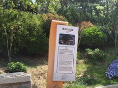 -燕儿岛山公园