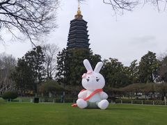 -红梅公园