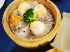 -金龙寨(龙城路店)