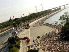 -宝安西湾红树林湿地公园