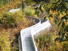 -苏木山森林公园