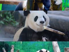 -灵玲国际马戏城