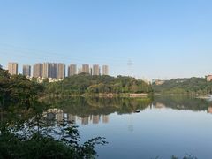 -重庆彩云湖湿地公园