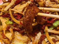 -柴窝堡22号辣子鸡·传承新疆菜