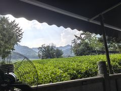 -听风阁农家私房菜茶楼(龙坞店)