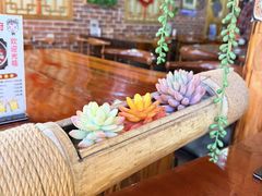 -苗湘食府(十年店)