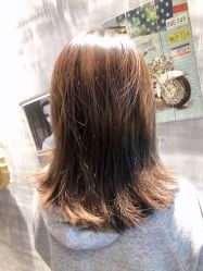 -T.1 hair salon烫染接发