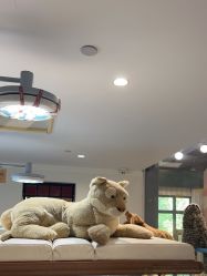 -奈尔宝·儿童乐园·亲子餐厅(星河湾店)