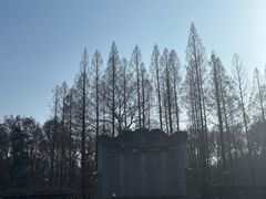 -灵谷景区