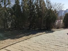 -南翠屏公园