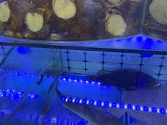 -日照大牌檔•小船海鲜(万平口店)
