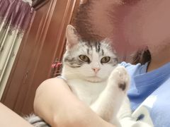 -联萌宠物医院(猫病专科)