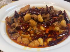 -志晖园圆子鸡·辣子鸡(阳光店)