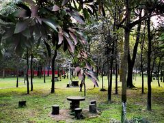 -四川大学(望江校区)