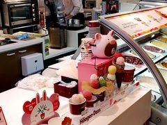 -哈根达斯(石家庄北国店)
